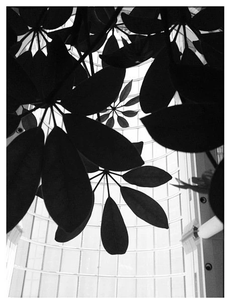 Photograph 21 from Photography, 2013