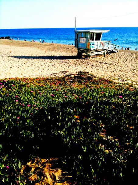 Photograph 27 from Photography, 2013